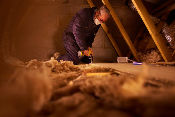 Best Eco-Friendly or Green Insulation Solutions  in Park Rapids, MN